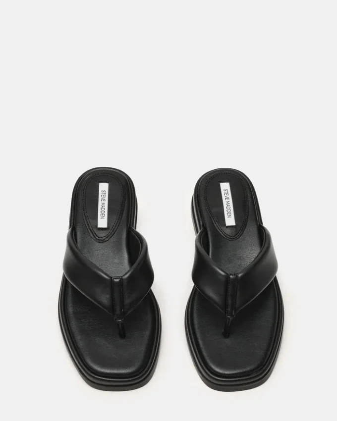 Bella Black Bella Black