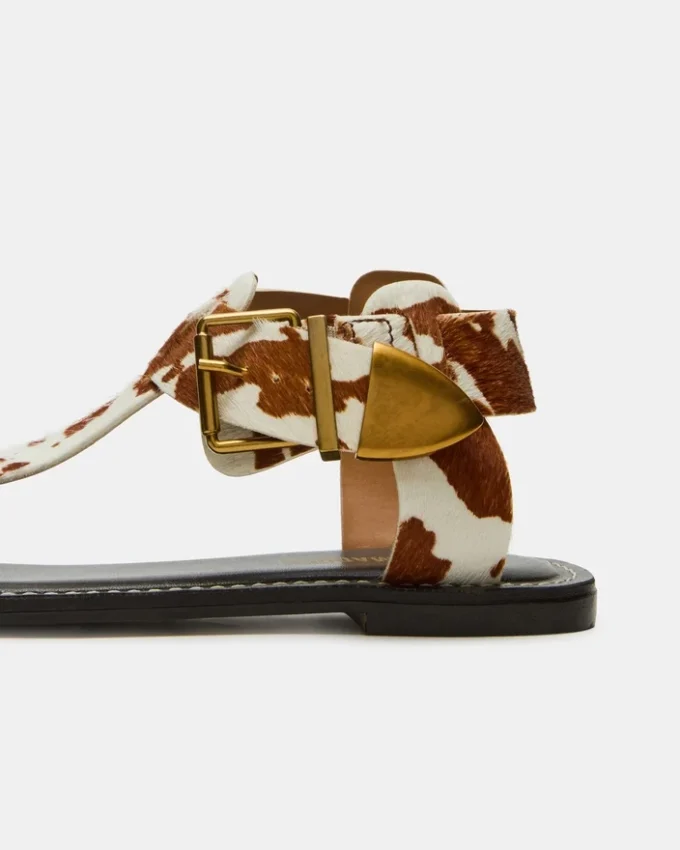 Brazinn Brun Ko-print