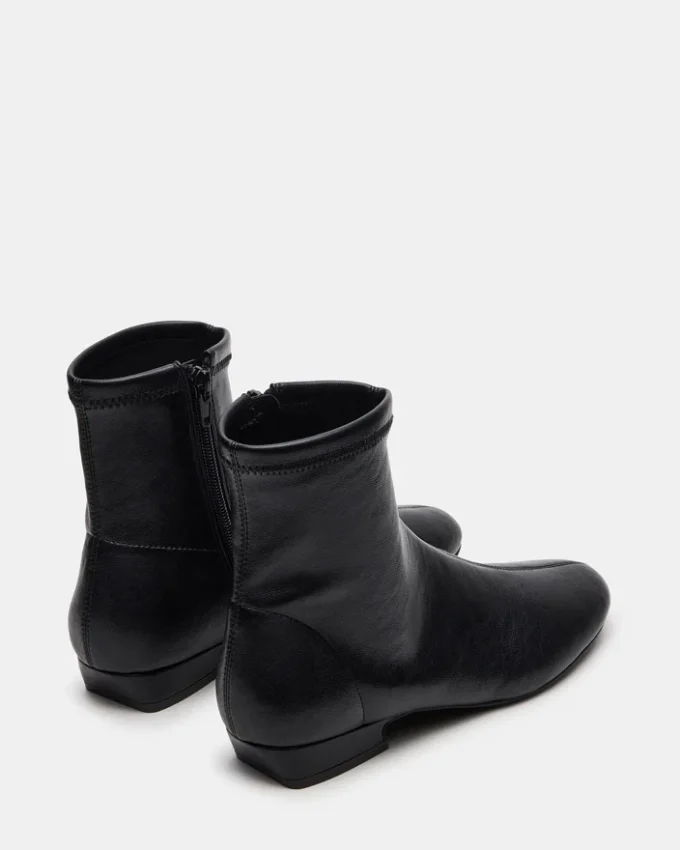 Finch Black Finch Black