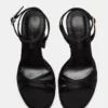 Fleet Black