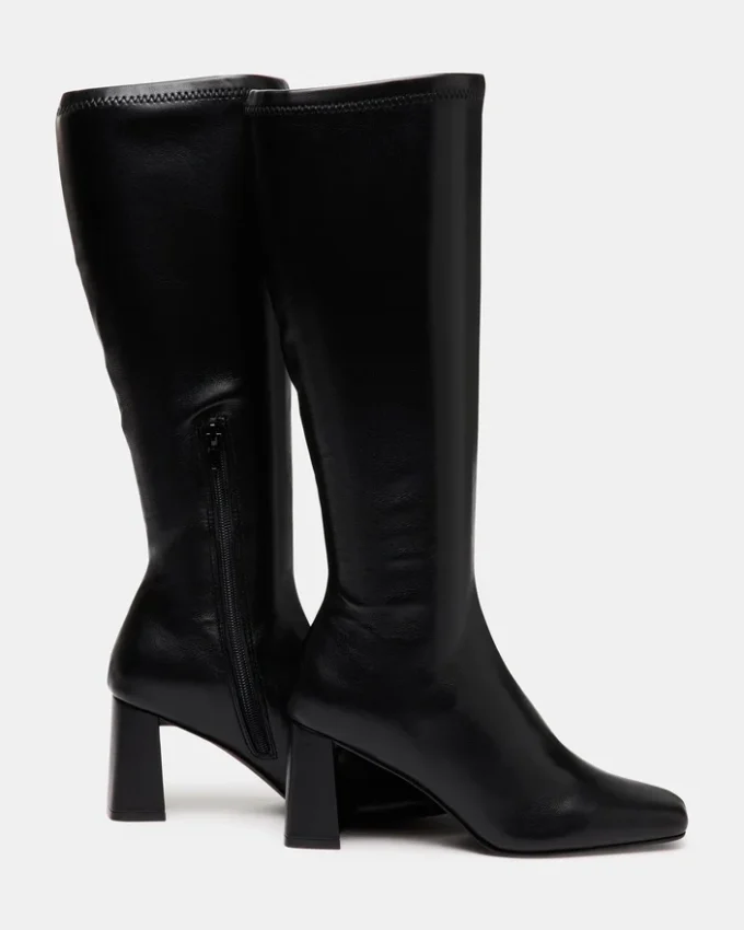 Holly Black Holly Black