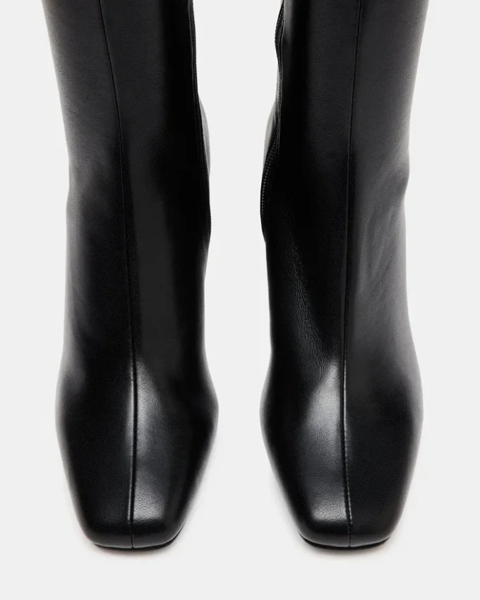 Holly Black Holly Black
