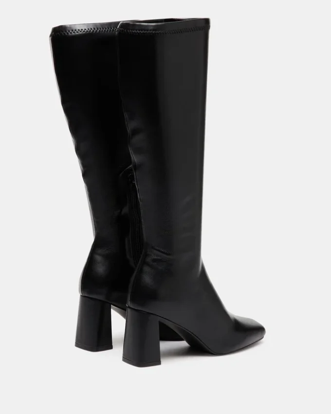 Holly Black Holly Black