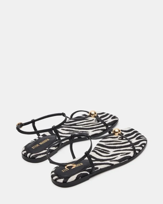 Ritzy Zebra Ritzy Zebra