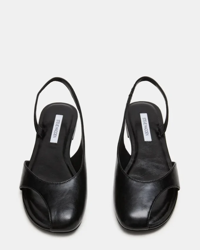 Zest Black Zest Black