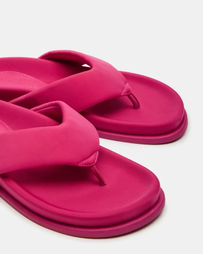 Zinnia Pink Zinnia Pink