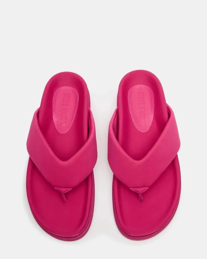 Zinnia Pink Zinnia Pink